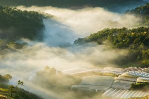 Gợi ý Những Mùi Hương Cho Thời Tiết Se Lạnh