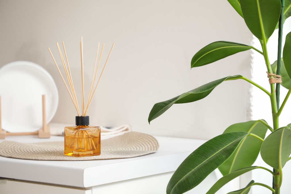 Tinh dầu khuếch tán: Giải pháp hương thơm 24/7 mà không cần sử dụng điện 1 Tinh Dầu Khuếch Tán
